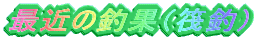 �ŋ߂̒މ�
