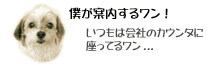 �l�̖��O�̓h��...