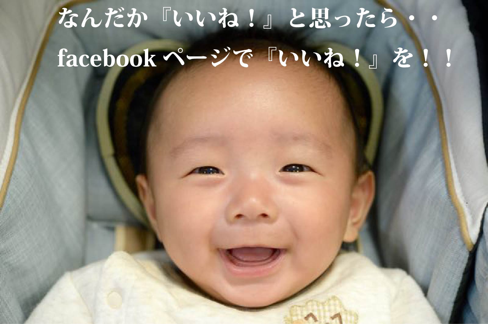 facebooky[W@cʐ^فcvʐ^