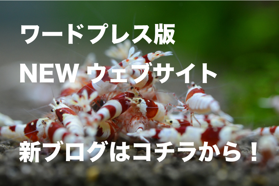 ���[�L�[�Y�O�d�@NEW�E�F�u�T�C�g