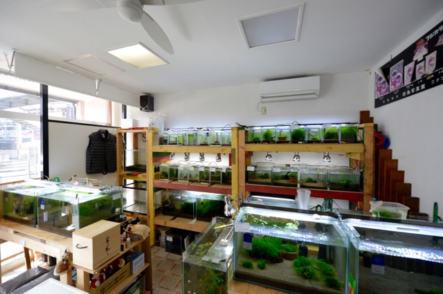 店舗2