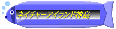 �l�C�`���[�A�C�����h�_��