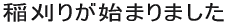 ��肪�n�܂�܂���