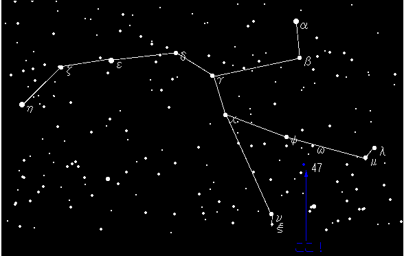 �P���̈ʒu�\��