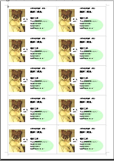 �}���`�J�[�h�̗�