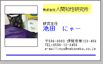 ���h���C�A�E�g��