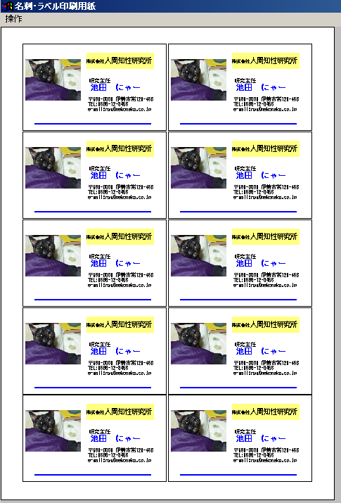 ����p�����C�A�E�g�̗�