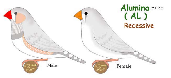 Mutações de Mandarins na Austrália Alumina