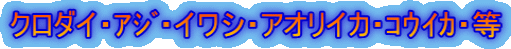 クロダイ・ｱｼﾞ・イワシ・アオリイカ・ｺｳｲｶ・等