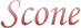 �X�R�[��