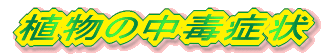 A̒ŏǏ