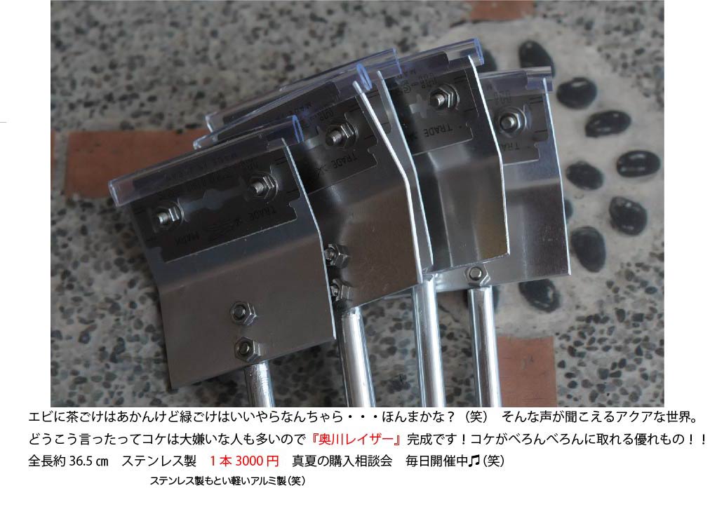奥川レイザー!
