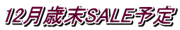 12月歳末SALE予定