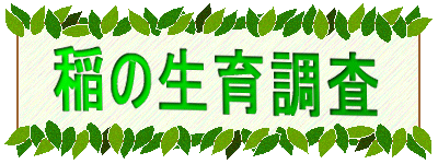 ̐璲