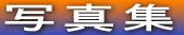 ʐ^W