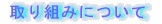 ̎g݂ɂ 