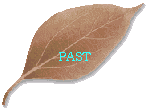 PAST