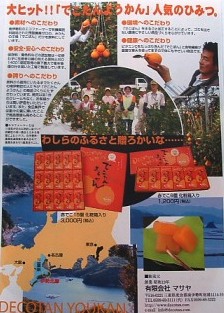ł悤